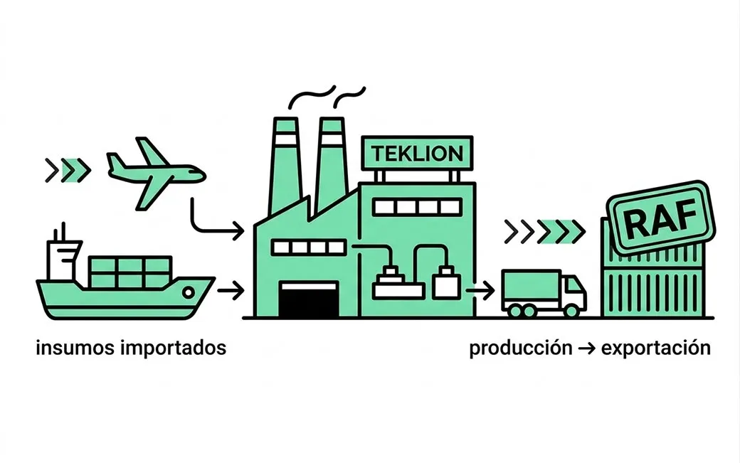 Software RAF Teklion - Régimen de Aduana en Factoría integrado con ARCA